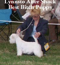 BestBitchPuppy