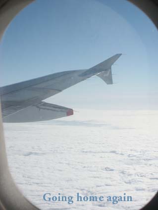 FlyingBack1