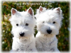 Poppy&Nienke_1