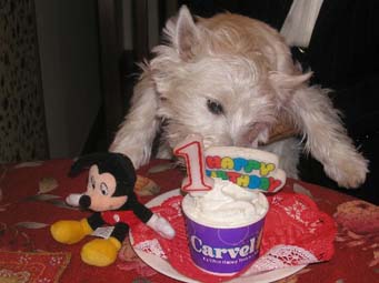 Spencer1year