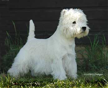 WashyPaintingWebsite