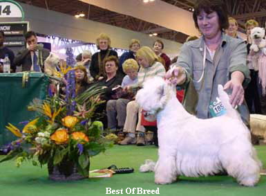 Best Of Breed