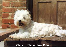 Clem      Photo Hans Kabel