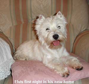 ElvisFirstNightNewHome