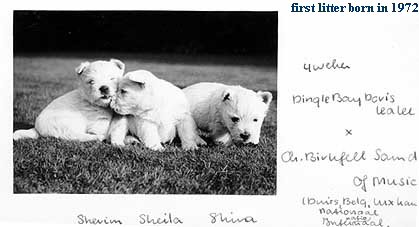 first litter born in 1972