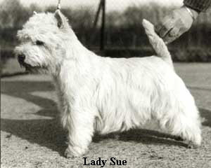 Lady Sue