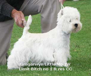 Limitno1BitchResCC2