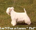 Luv'N'Fun at Lasara " Plof"