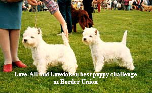 Love-All and Lovetoken best puppy challenge






at Border Union