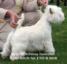 OpenBitchno1CCBOB2
