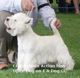 OpenDog1CC