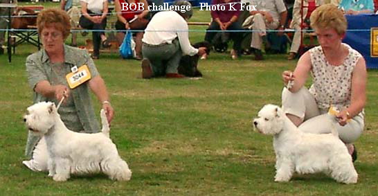 BOB challenge   Photo K Fox