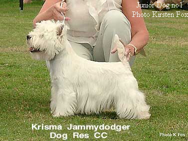 Junior Dog no1





Photo Kirsten Fox