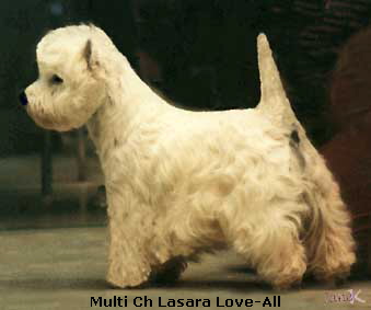 Multi Ch Lasara Love-All