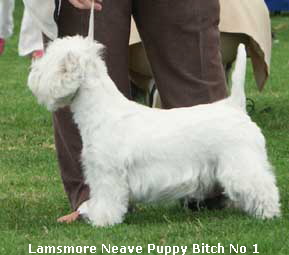 PuppyBitchno1