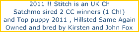 Update Nov 09



Stitch has moved