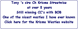 Tony 's sire Ch Krisma Streetwise






 at over 8 years






Still winning CC's with BOB






One of the nicest westies I have ever known






Click here for the Krisma Westies website