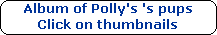 Album of Polly's 's pups




Click on thumbnails