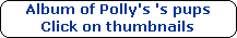 Album of Polly's 's pups




Click on thumbnails