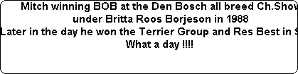 Mitch winning BOB at the Den Bosch all breed Ch.Show






under Britta Roos Borjeson in 1988






Later in the day he won the Terrier Group and Res Best in Show






What a day !!!!