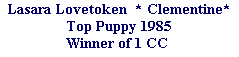 Lasara Lovetoken  * Clementine*





Top Puppy 1985





Winner of 1 CC