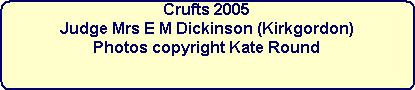 Crufts 2005



Judge Mrs E M Dickinson (Kirkgordon)



Photos copyright Kate Round