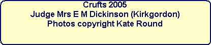 Crufts 2005



Judge Mrs E M Dickinson (Kirkgordon)



Photos copyright Kate Round