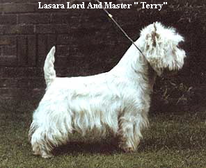 Lasara Lord And Master " Terry"